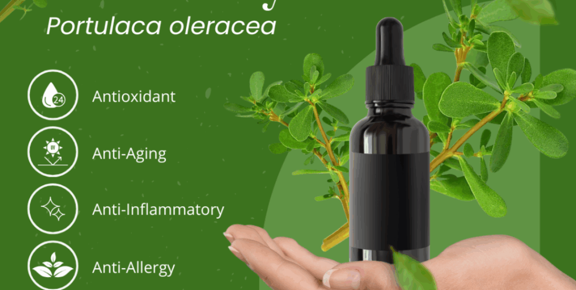 Green Natural Skincare Product Instagram Post Portulaca Oleracea: The Super Ingredient for Healthy Skin