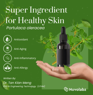 Green Natural Skincare Product Instagram Post Green Natural Skincare Product Instagram Post