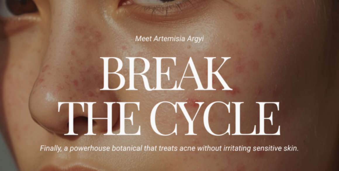 Artemisia Argyi (Mugwort) in Skincare: Anti-Inflammatory Mechanisms for Acne & Sensitivity