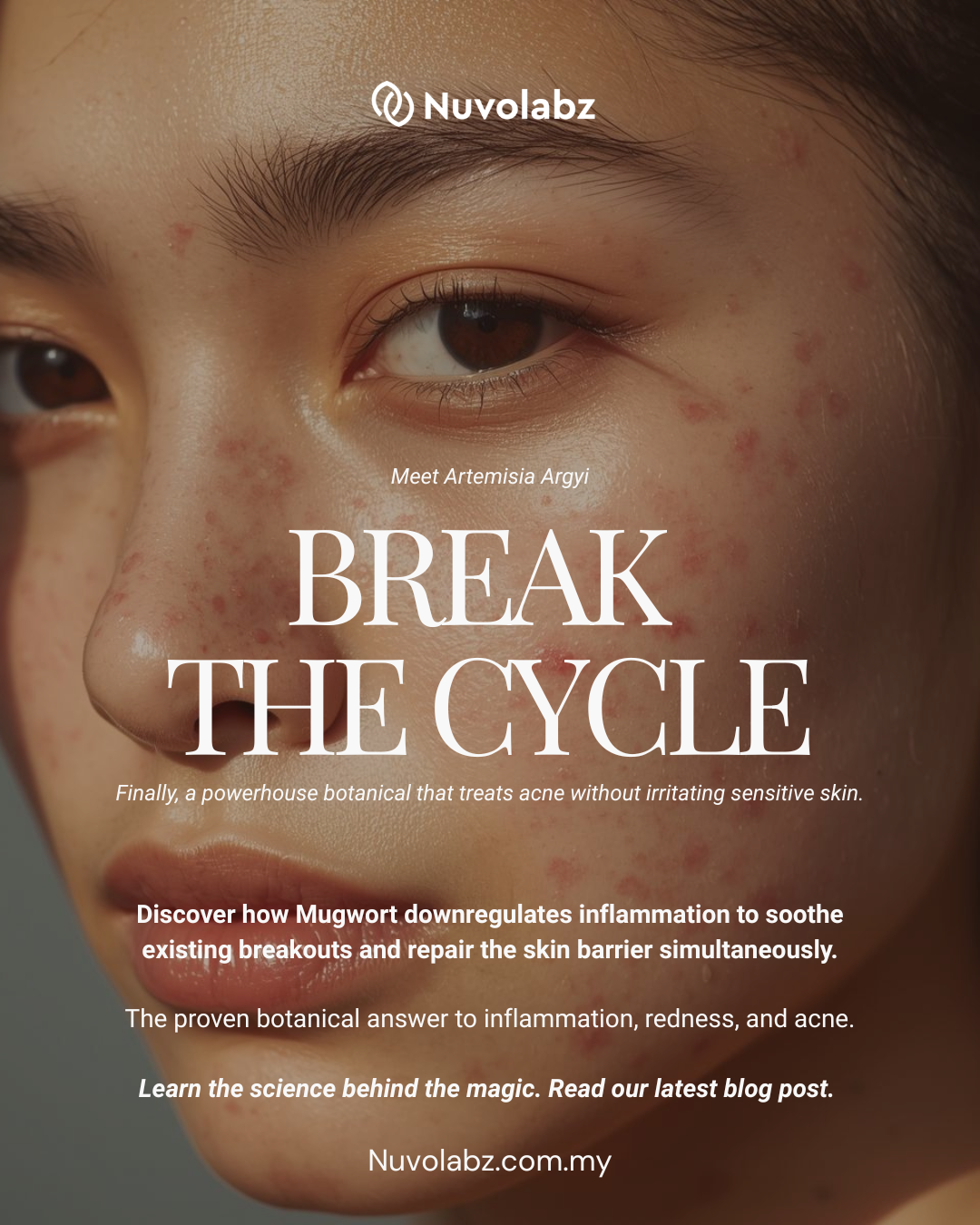 Mugwort Skincare Blog Mugwort Skincare Blog