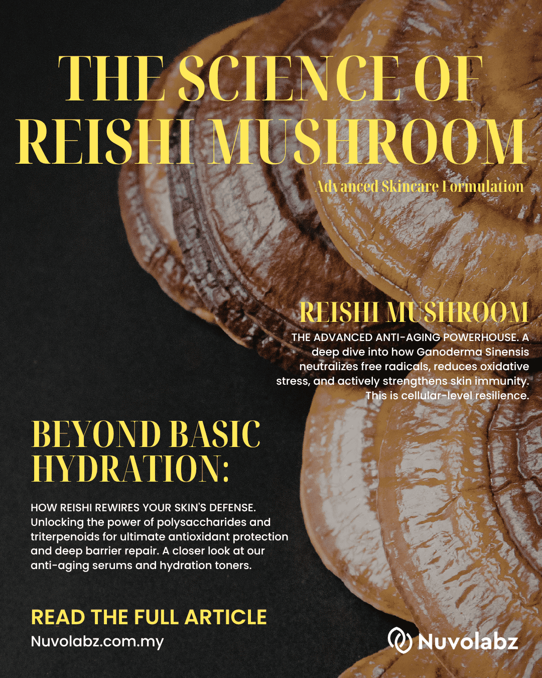 Unlocking Ganoderma Sinensis: The Science of Reishi Mushroom in Advanced Anti-Aging Skincare