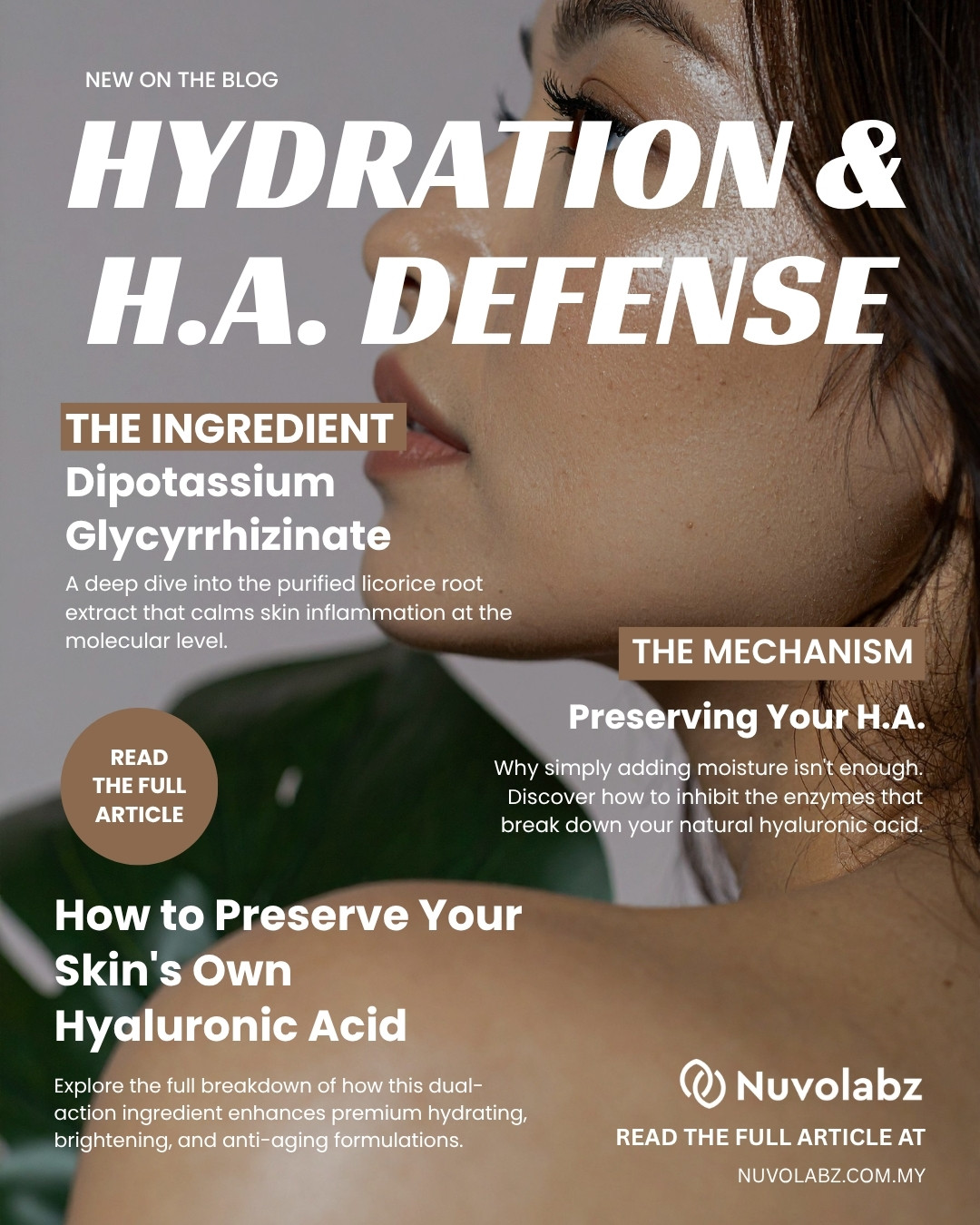 hydration H.A blog