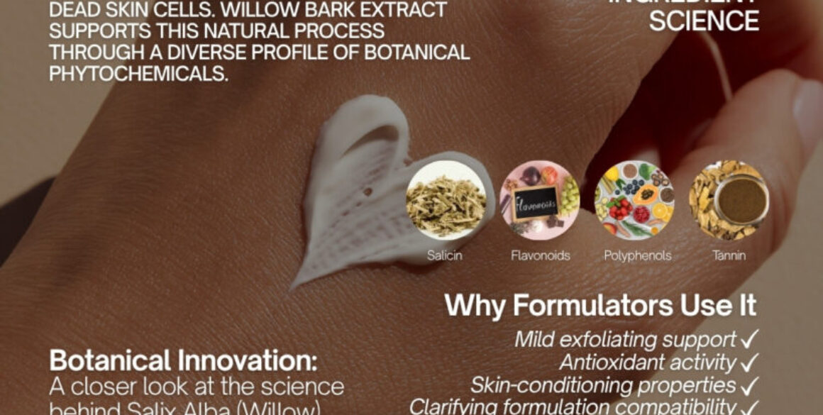 Understanding the Role of Willow Bark Extract in Skin Renewal