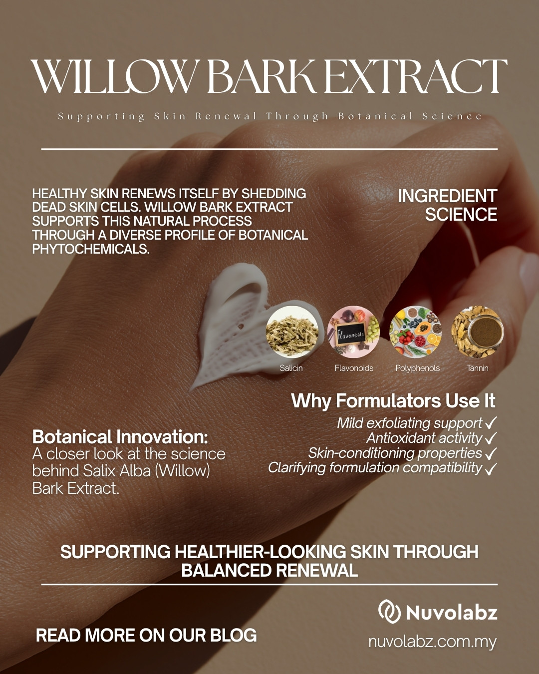 Willow bark blog Willow bark blog