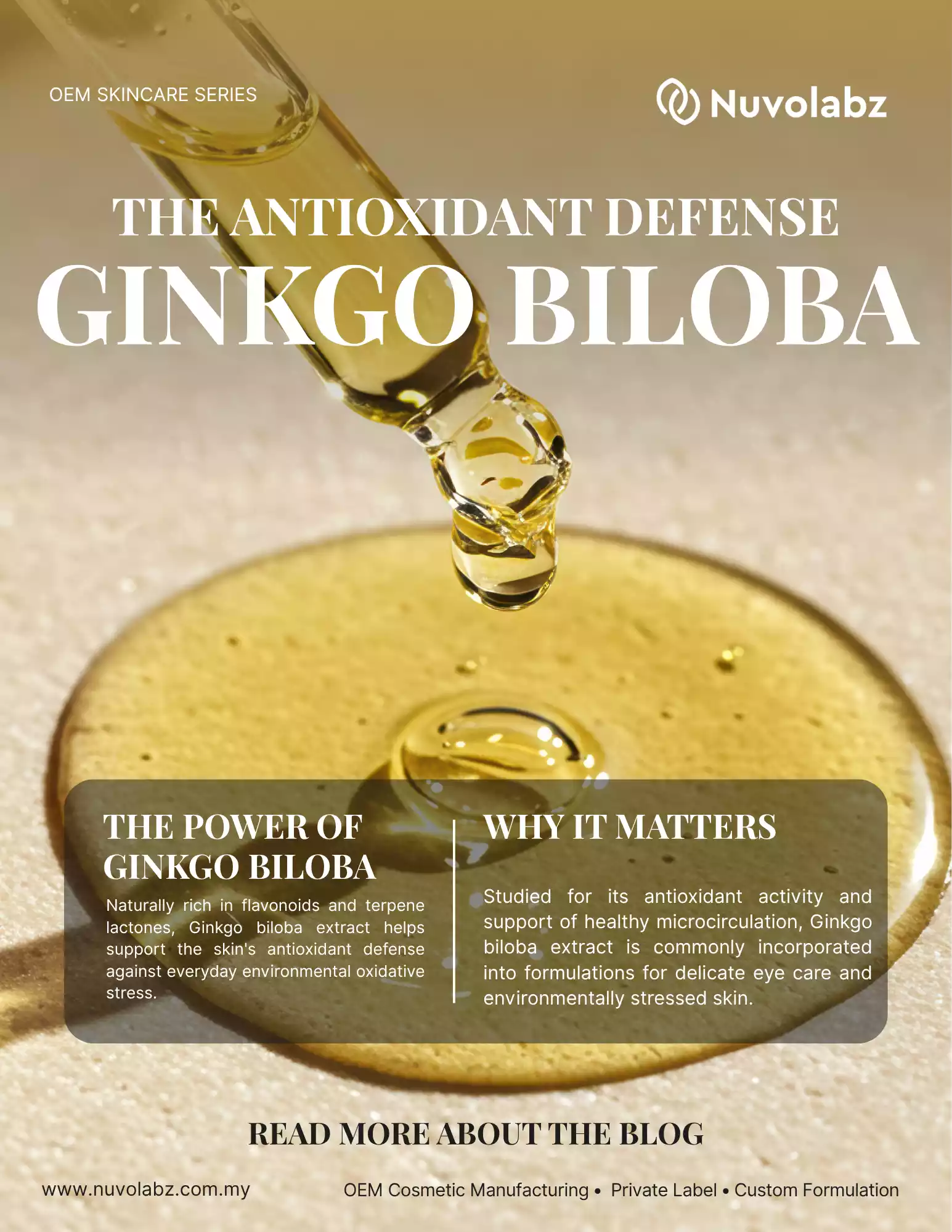 gingko biloba cover gingko biloba cover