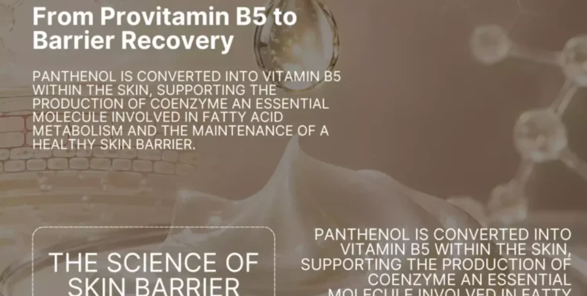 How Panthenol Helps Rebuild the Skin’s Lipid Barrier