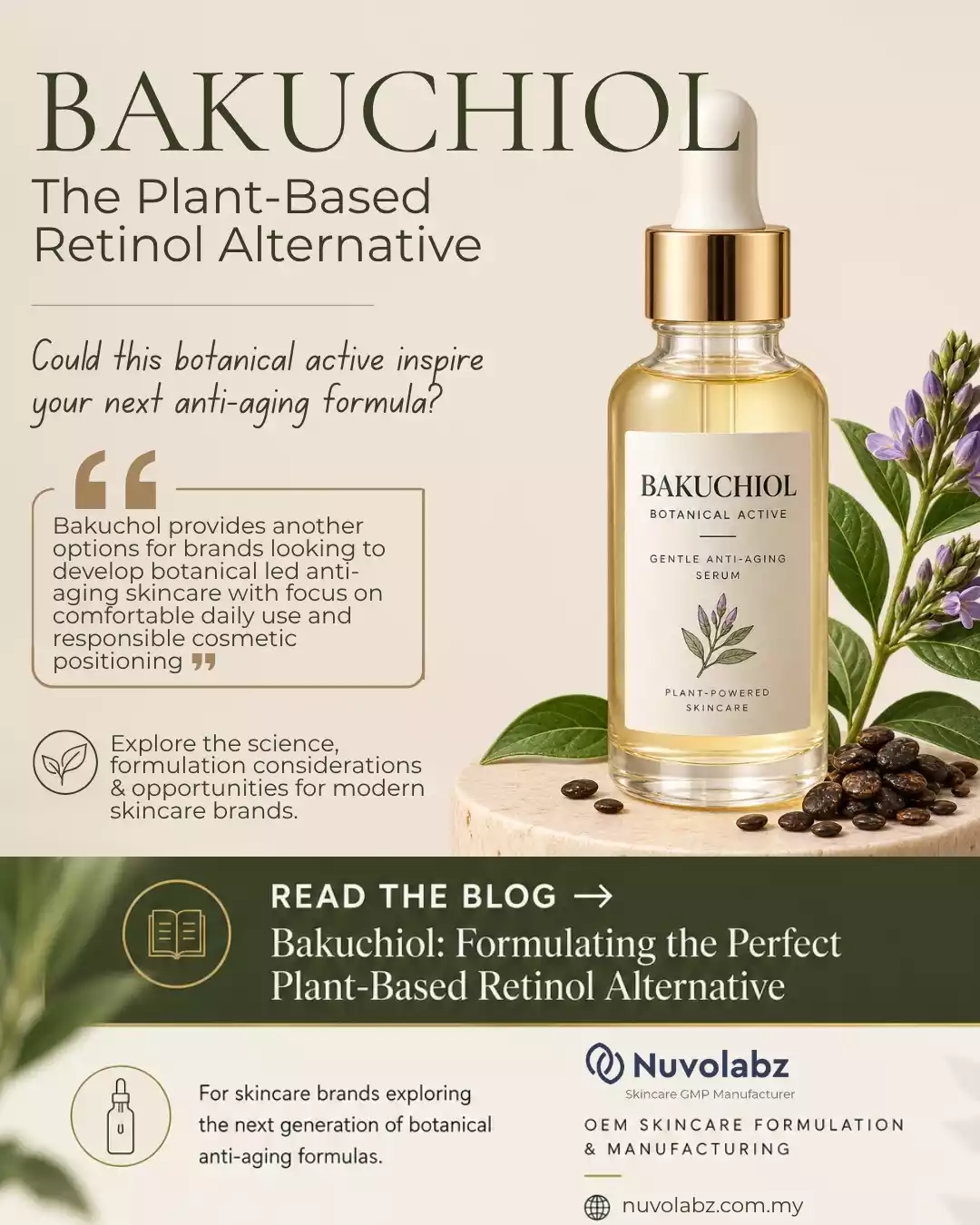 Why Bakuchiol Is Gaining Attention in Modern Skincare