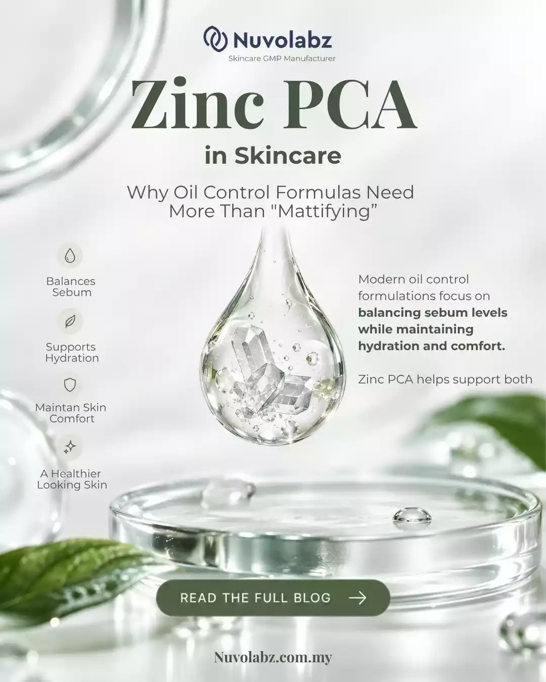 Zinc PCA in Skincare: Why Oil-Control Formulas Need More Than “Mattifying